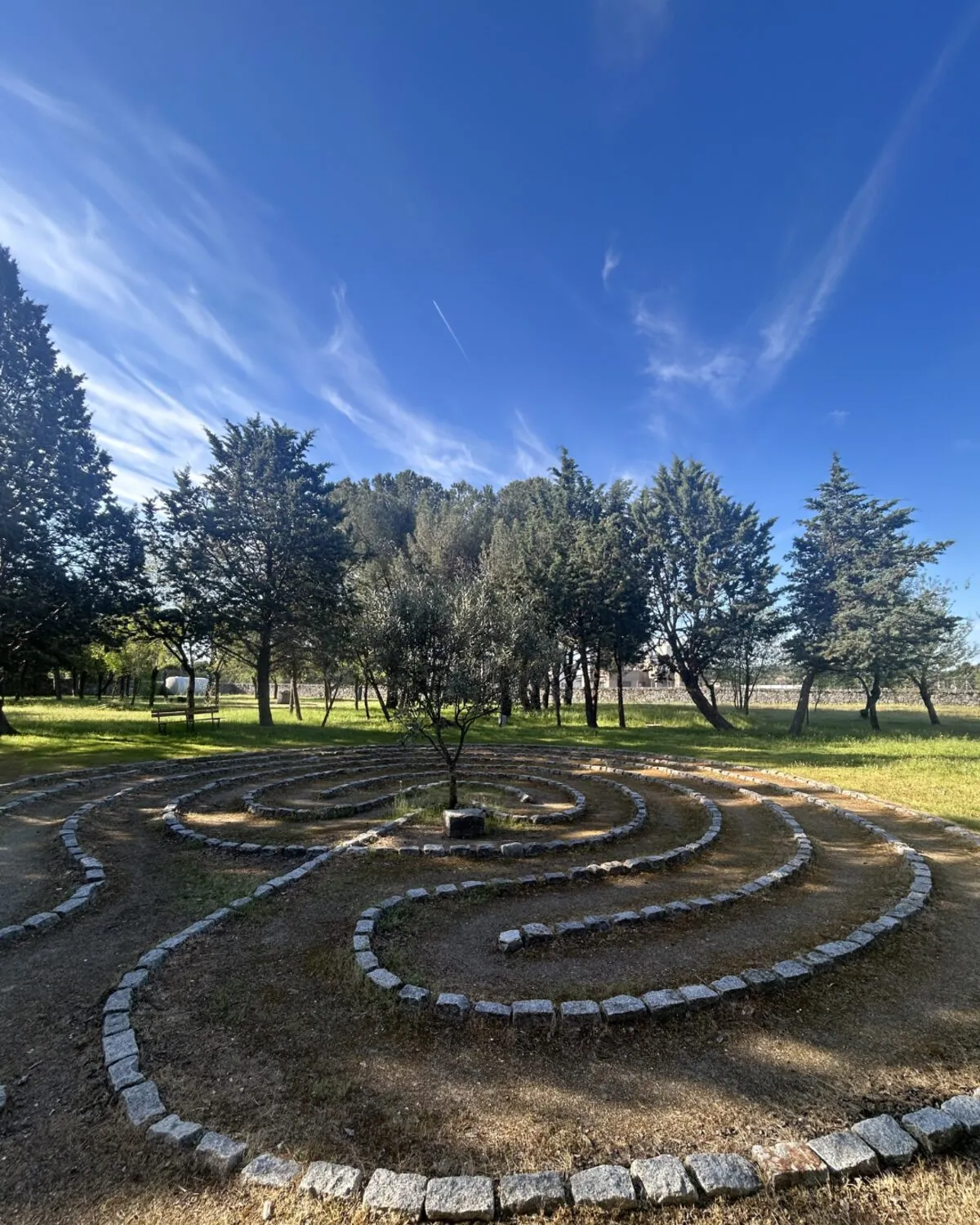 Laberinto de piedras entre pinos en Santa María de los Negrales