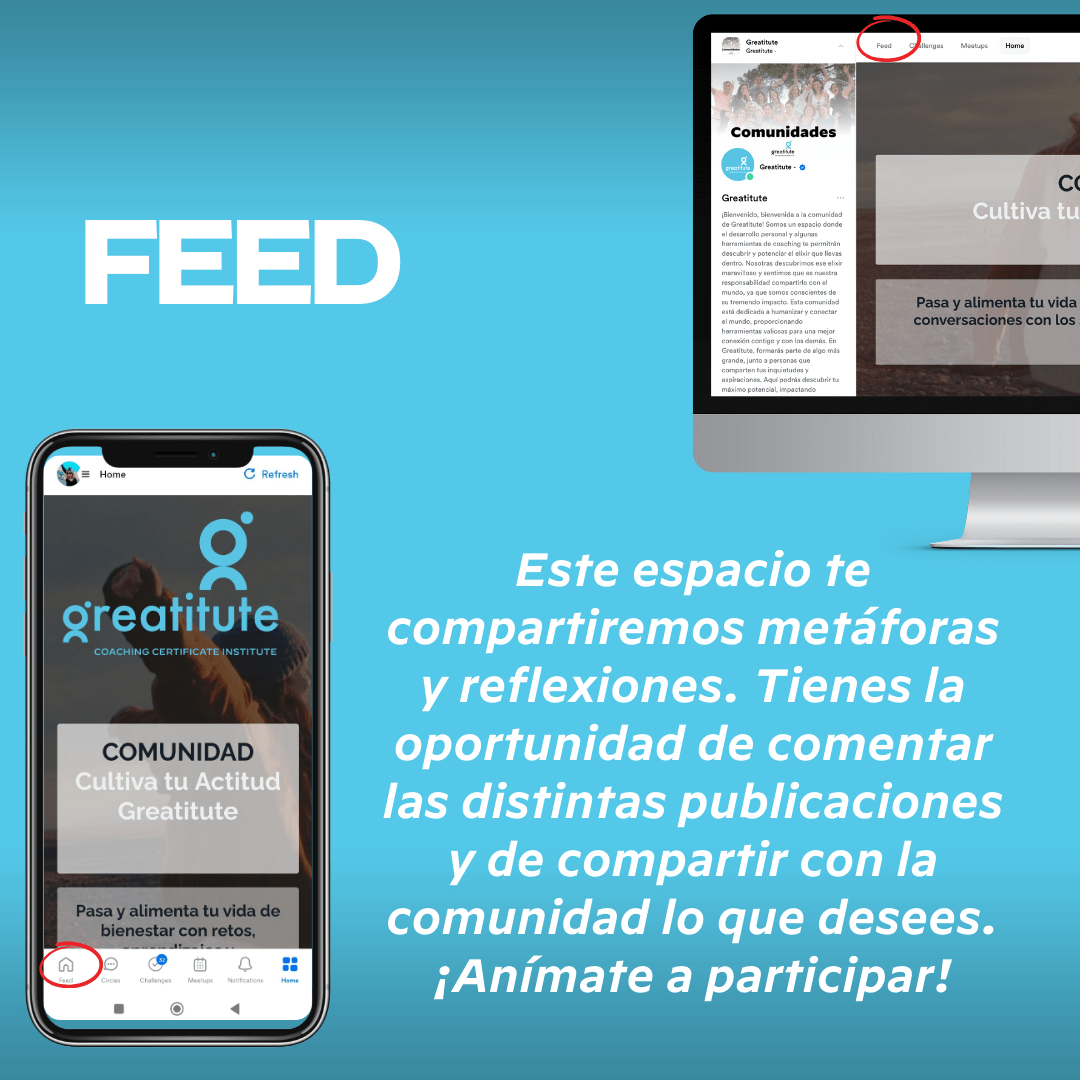 Feed de la Comunidad Greatitute: metáforas y reflexiones para comentar